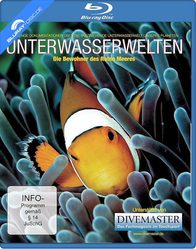 unterwasserwelten---die-bewohner-des-roten-meeres-neu.webp
