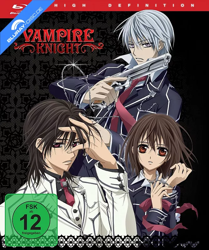 vampire-knight---staffel-1-gesamtausgabe-de.webp