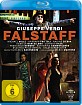 Verdi - Falstaff (Mancini) Blu-ray