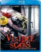 Visible Scars (Region A - US Import ohne dt. Ton) Blu-ray