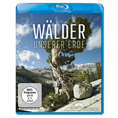 waelder-unserer-erde-1.webp