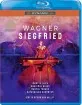 wagner---siegfried_klein.webp
