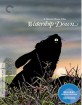 Watership Down (1978) - Criterion Collection (Region A - US Import ohne dt. Ton) Blu-ray