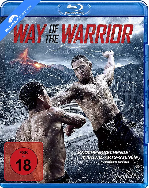 way-of-the-warrior-2013-neu.webp