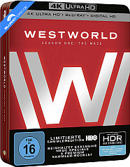 Westworld - Staffel Eins: Das Labyrinth 4K (3 4K UHD + 3 Blu-ray + UV Copy) Blu-ray
