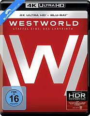 Westworld - Staffel Eins: Das Labyrinth 4K (4K UHD + Blu-ray) (Neuauflage) Blu-ray