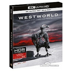 westworld-stagione-2-4k-it-import-draft.jpg