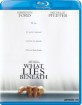 What Lies Beneath (2000) (Region A - US Import ohne dt. Ton) Blu-ray