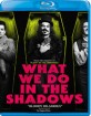 What We Do in the Shadows (2014) (US Import ohne dt. Ton) Blu-ray