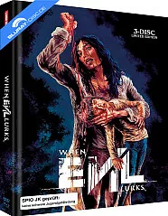 When Evil Lurks (Limited Mediabook Edition) (Cover D) (Blu-ray + Bonus Blu-ray + DVD) (AT Import) Blu-ray