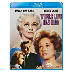 where-love-has-gone-1964-us.webp