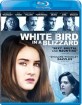White Bird in a Blizzard (2014) (Region A - US Import ohne dt. Ton) Blu-ray