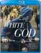 White God (2014) (Region A - US Import ohne dt. Ton) Blu-ray