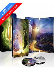 Wicked: For Good 4K - Limited Edition Steelbook (4K UHD + Blu-ray + Digital Copy) (US Import ohne dt. Ton)