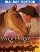 Wild Horse, Wild Ride (2011) (Region A - US Import ohne dt. Ton) Blu-ray