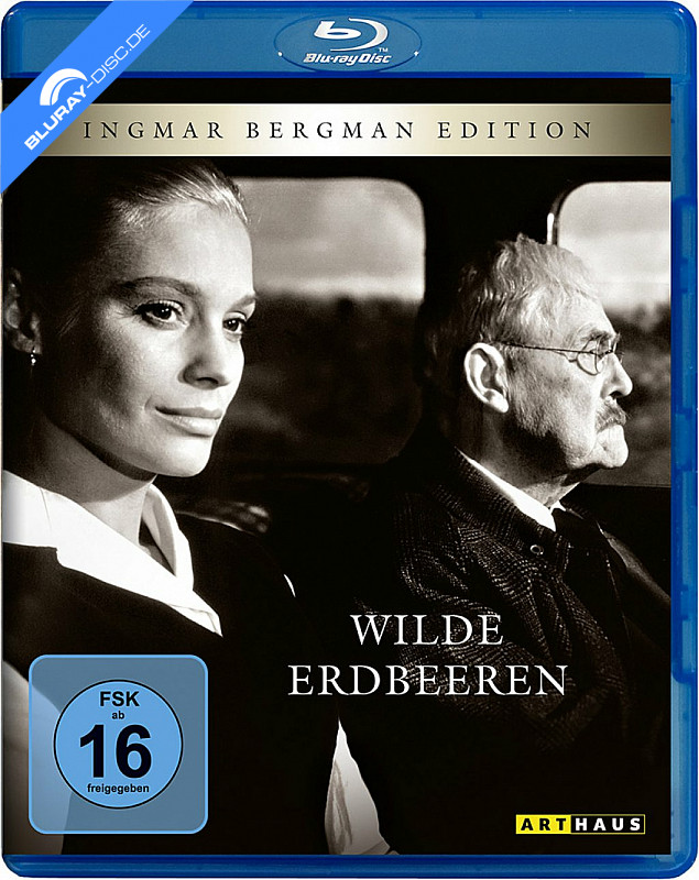 wilde-erdbeeren-neu.webp