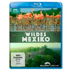 wildes-mexico.webp