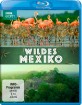 wildes-mexico_klein.jpg