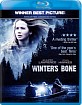 Winter's Bone (Region A - US Import ohne dt. Ton) Blu-ray