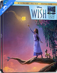 Wish (2023) 4K - Walmart Exclusive Limited Edition Steelbook (4K UHD + Blu-ray + Digital Copy) (US Import ohne dt. Ton) Blu-ray