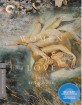 Women in Love - The Criterion Collection (Region A - US Import ohne dt. Ton) Blu-ray