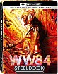 Wonder Woman 1984 4K - Steelbook (4K UHD + Blu-ray) (TW Import ohne dt. Ton) Blu-ray