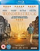 Wonderstruck (2017) (UK Import ohne dt. Ton) Blu-ray