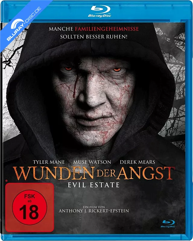 wunden-der-angst---evil-estate-neu.webp