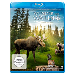 wunder-des-waldes-DE.webp