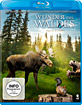 Wunder des Waldes Blu-ray