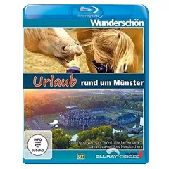 wunderschoen-urlaub-rund-um-muenster.webp