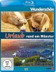 Wunderschön!: Urlaub rund um Münster Blu-ray