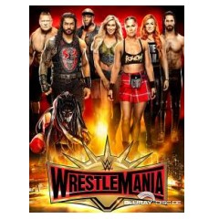 wwe-wrestlemania-xxxv-1.jpg wwe-wrestlemania-xxxv-1.jpg