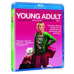 young-adult-neuauflage-es-import.jpg