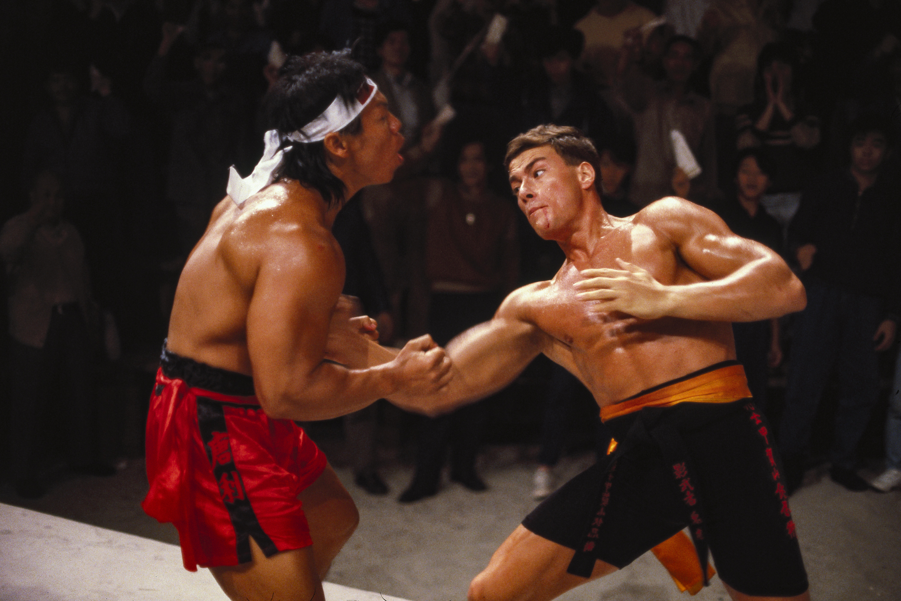 Bloodsport_01_72dpi.jpg