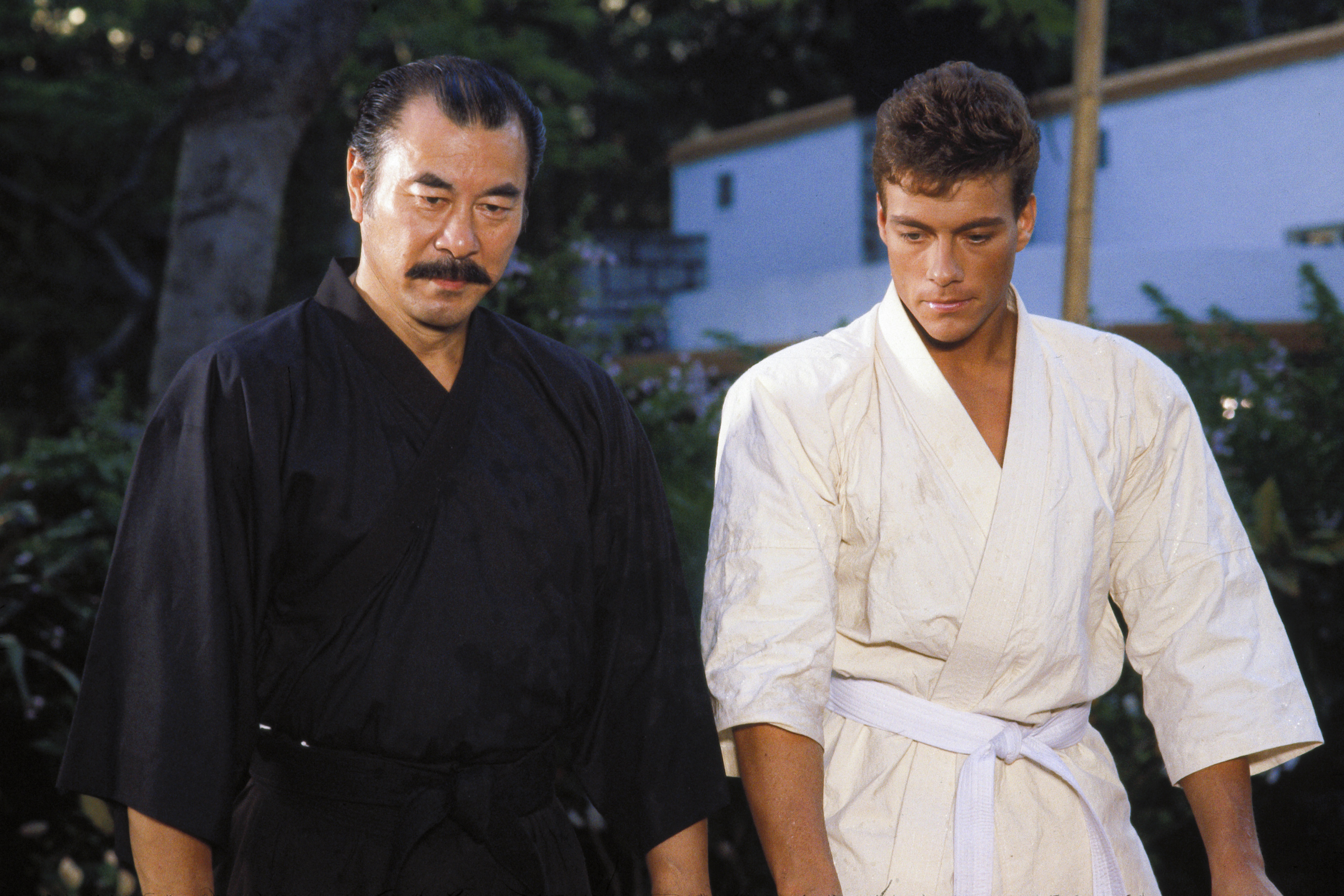 Bloodsport_06_72dpi.jpg Bloodsport_06_72dpi.jpg