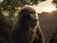 Der-Koenig-der-Loewen-2019-Reviewbild-07.jpg Der-Koenig-der-Loewen-2019-Reviewbild-07.jpg