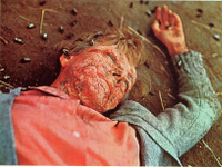 Die-toedlichen-Bienen-1966-Reviewbild-06.jpg Die-toedlichen-Bienen-1966-Reviewbild-06.jpg