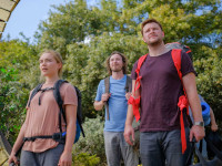 Midsommar-Reviewbild-01.jpg Midsommar-Reviewbild-01.jpg