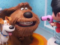 Pets-2-Reviewbild-01.jpg Pets-2-Reviewbild-01.jpg