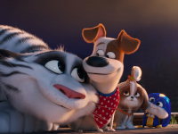 Pets-2-Reviewbild-02.jpg Pets-2-Reviewbild-02.jpg