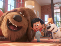 Pets-2-Reviewbild-03.jpg Pets-2-Reviewbild-03.jpg