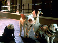 Schweinchen-Babe-in-der-grossen-Stadt-review-01.jpg