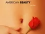 American-Beauty-News.webp