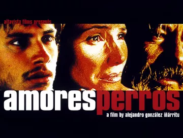 Amores_Perros_News.webp