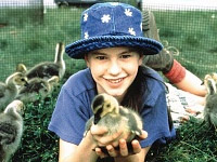 Amy-und-die-Wildgaense.webp