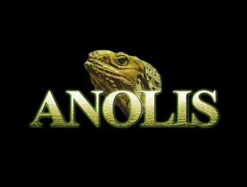 Anolis-Entertainment-Newslogo-NEU.webp