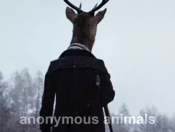 Anonymous_Animals_News.webp