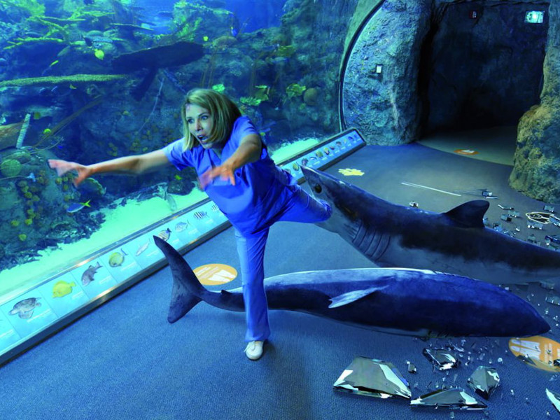 Aquarium-of-the-Dead-Newsbild-01.jpg