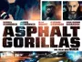 Asphaltgorillas-News.webp